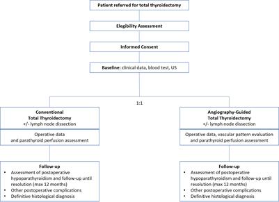 Indocyanine green angiography-guided thyroidectomy versus conventional thyroidectomy for preserving parathyroid function: study protocol for a randomized single-blind controlled trial